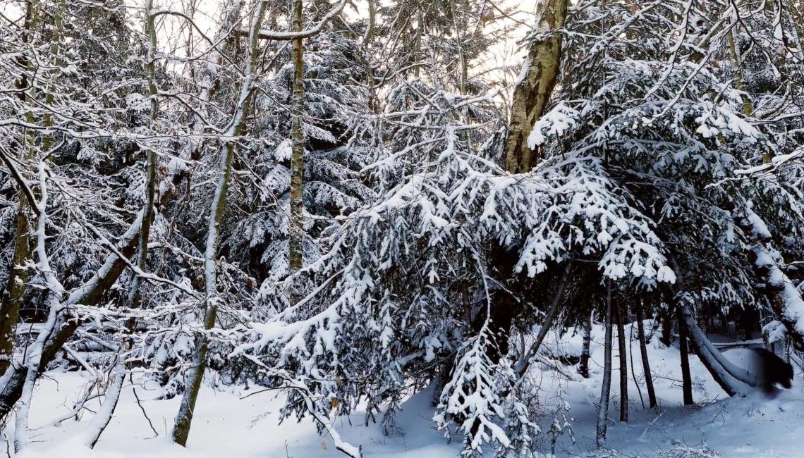 Snow